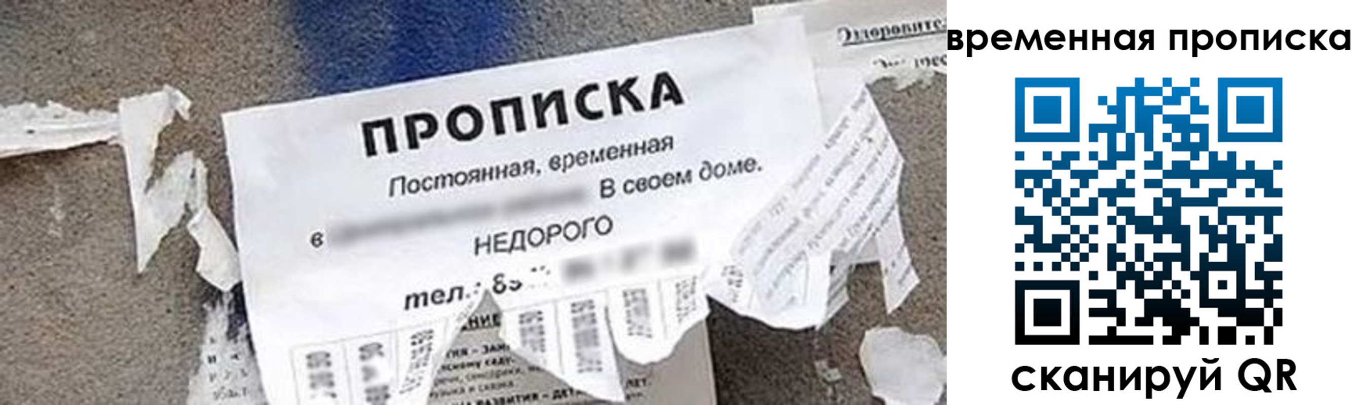 прописка для школы в Москве